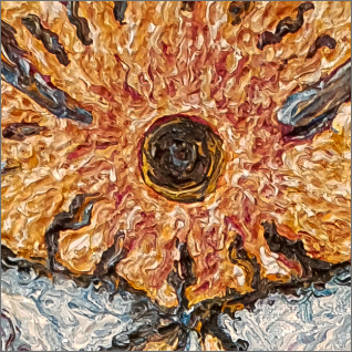 VENUS
